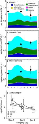 Planktonic Lipidome Responses to Aeolian Dust Input in Low-Biomass Oligotrophic Marine Mesocosms